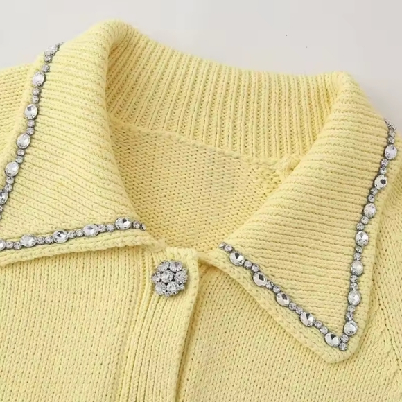 Embellished Sweater - Alice & Olivia Vibe - Picture 4 of 4